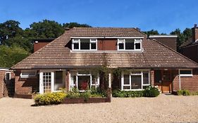 Abacus Bed And Breakfast Camberley